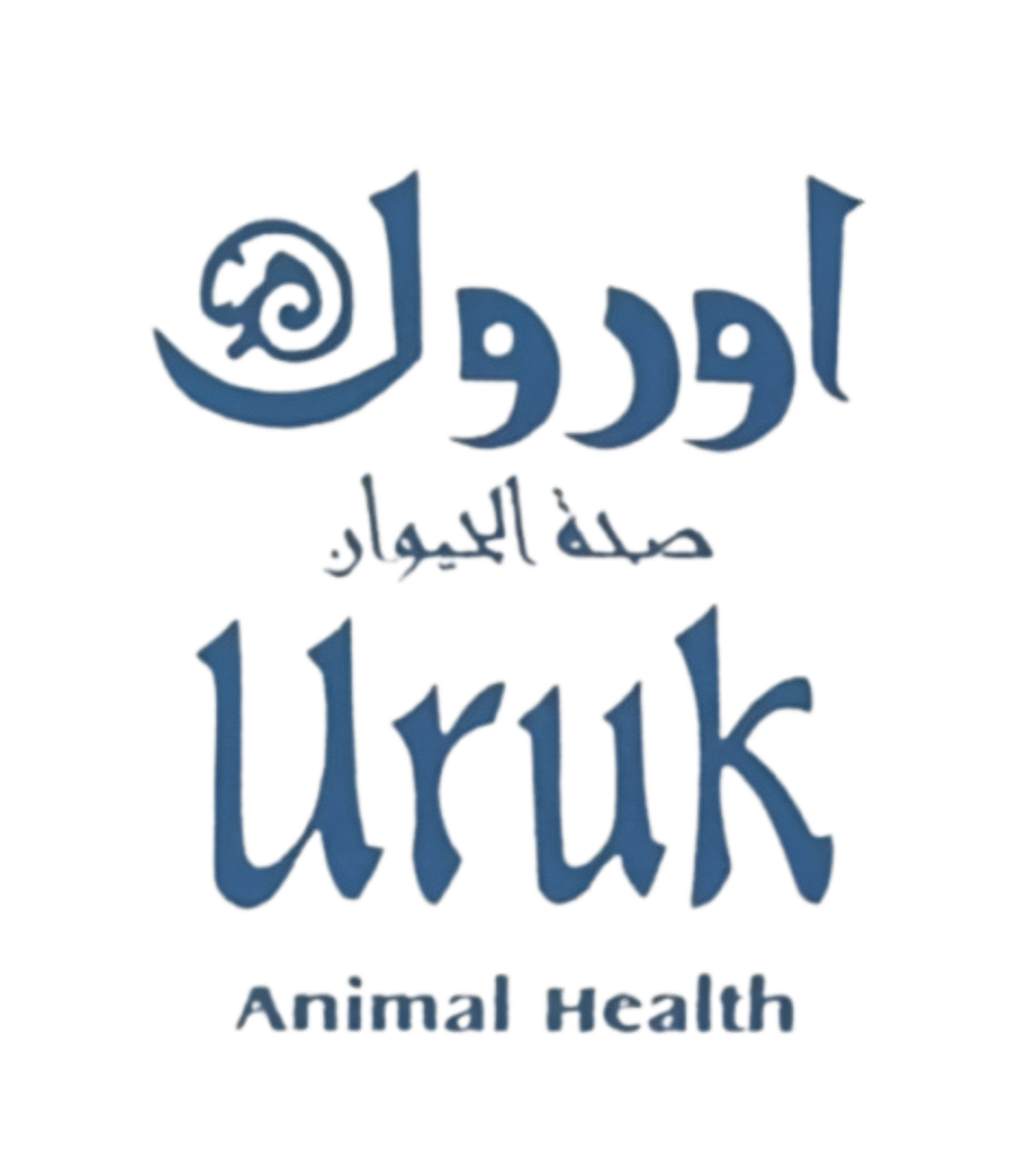 URUK Company Limited 